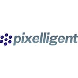 Pixelligent Technologies, LLC