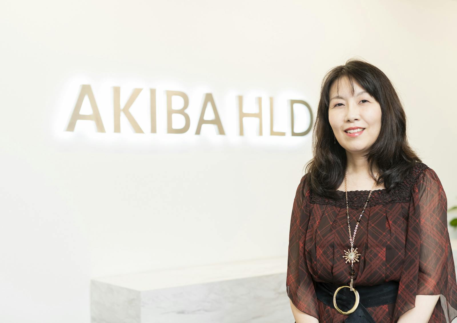株式会社AKIBAホールディングス