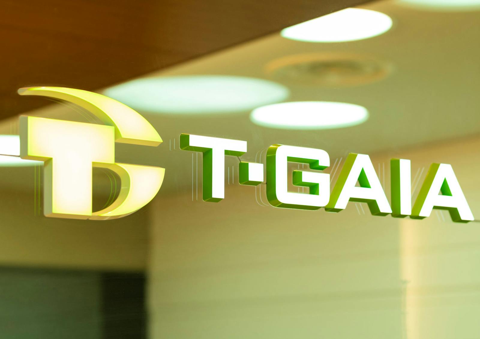 ティーガイアがm A 出資先を積極募集中 M Aクラウド