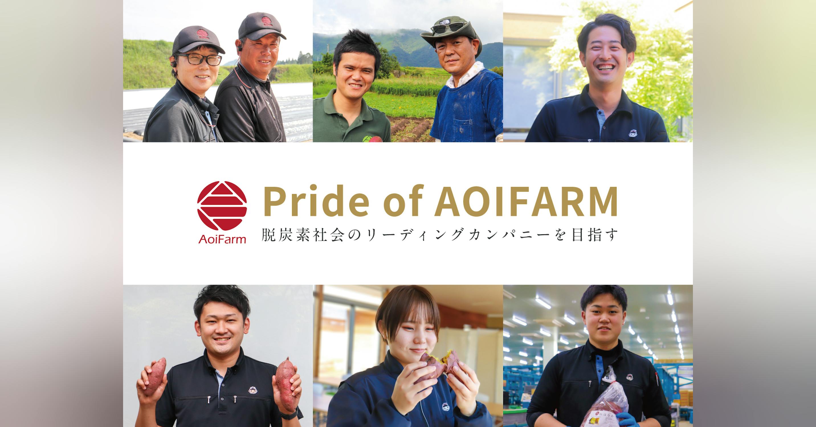サツマイモの輸出シェア日本一!地方発農業ベンチャーが、脱炭素社会のリーディングカンパニーを目指します